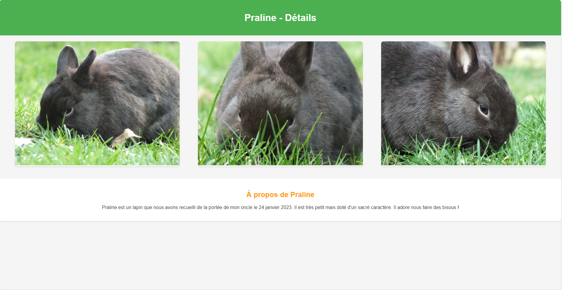 Image of the Lapin3 website